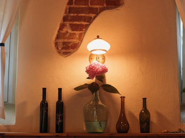 Agroturystyka Muszkiet