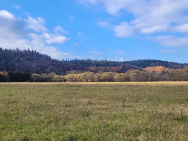 Domki Magiczne Miejsce 