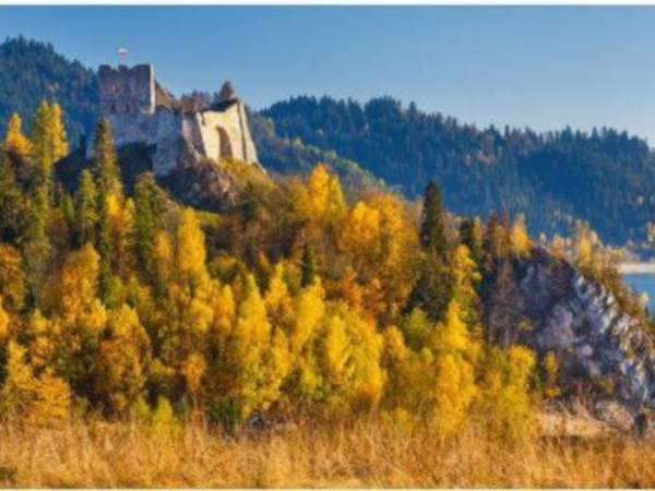 Pokoje Gościnne U Tosi 