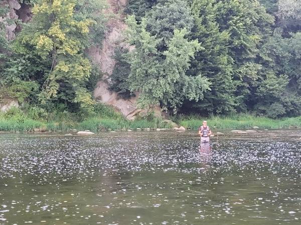 Domki Magiczne Miejsce 