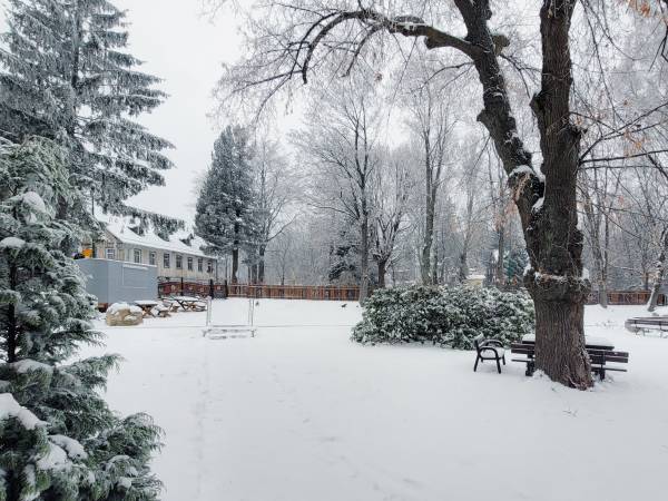 Willa Słoneczko - zimowy ogród