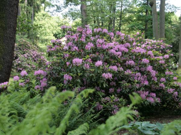 Centrum Zdrowia i Wypoczynku Nowy Zdrój