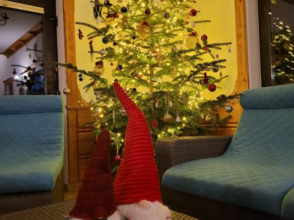 Willa pod Babią Górą