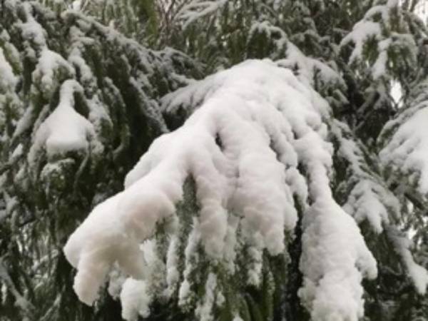 Domek Na Skale z sauną 