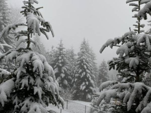 Domek Na Skale z sauną 