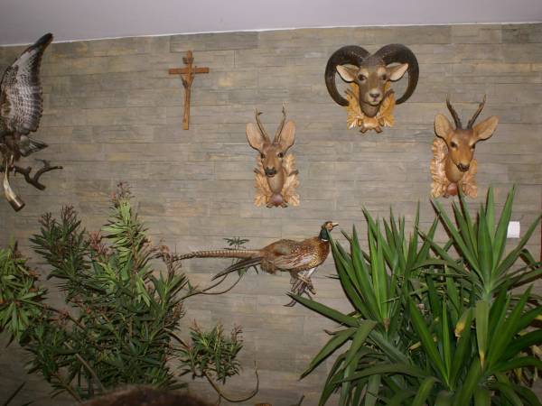 Gospodarstwo Agroturystyczne Leśny Dwór