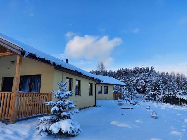 teren leśny w pobliżu