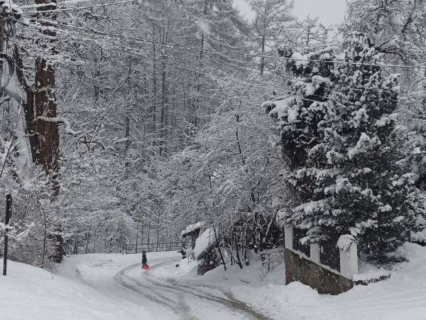 Pokoje Gościnne Szumny Lasek
