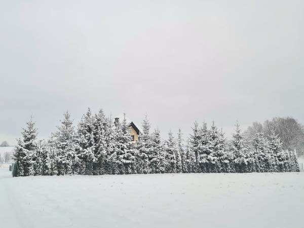 Słoneczna Willa Sudety Stary Waliszów