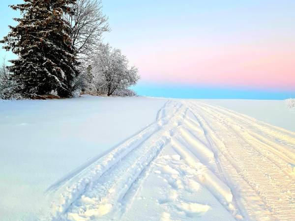 Pokoje gościnne Dzianisz 262C 