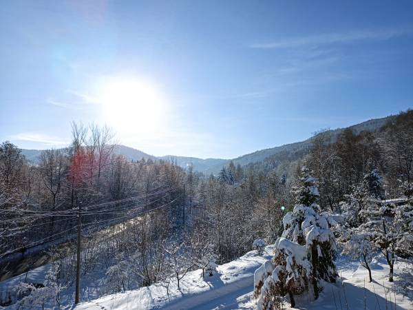 Dom Wakacyjny Gajówka z ogrodem na wyłączność