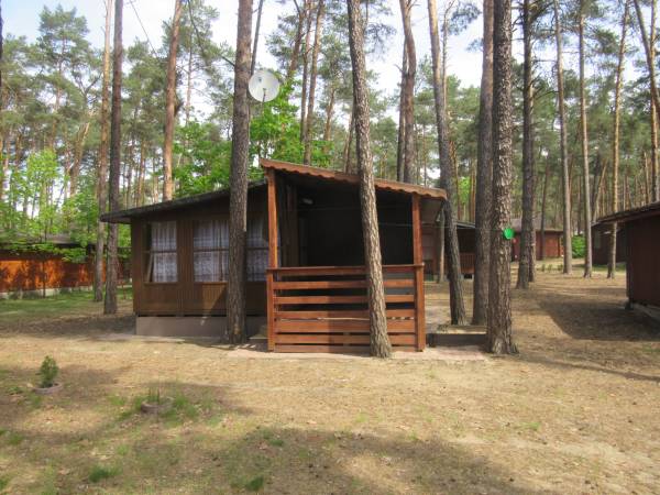 Domki letniskowe Borowik Sielpia