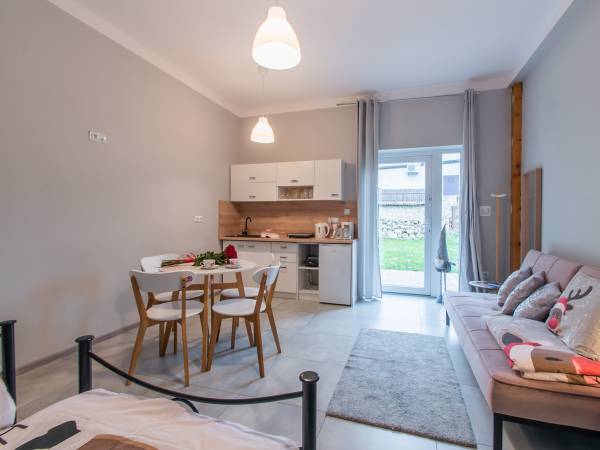 Studio z aneksem kuchennym