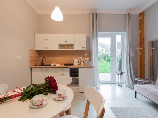 Studio z aneksem kuchennym