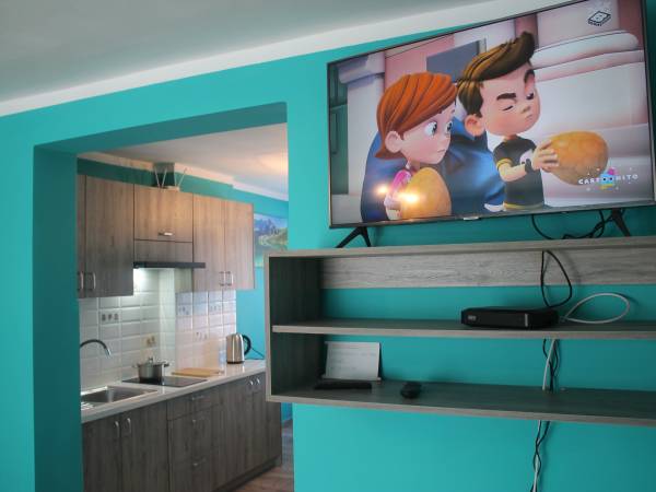 Apartament 5 osobowy - kuchnia