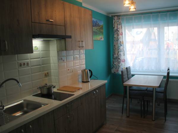 Apartament 5 osobowy - kuchnia
