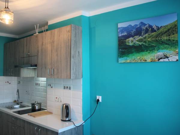 Apartament 5 osobowy - kuchnia