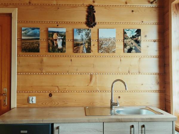 Apartament Bioło Izba 