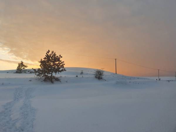 Pokoje i domki przy Leśniczówce