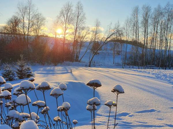 Pokoje i domki przy Leśniczówce