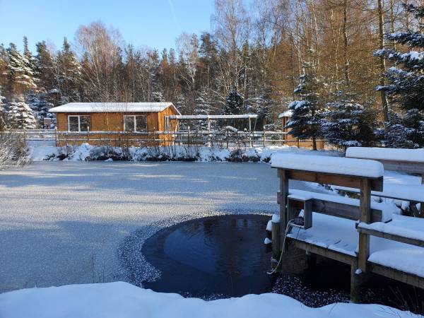 Pokoje i domki przy Leśniczówce
