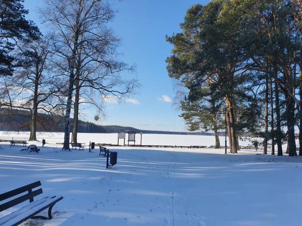 Pokoje i domki przy Leśniczówce