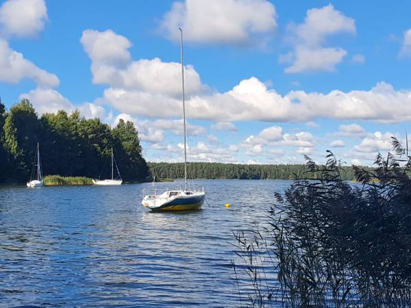 MILOCHÓWKA - Dom Drewniany Bliźniak