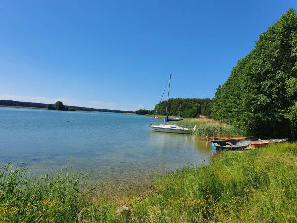 MILOCHÓWKA - Dom Drewniany Bliźniak