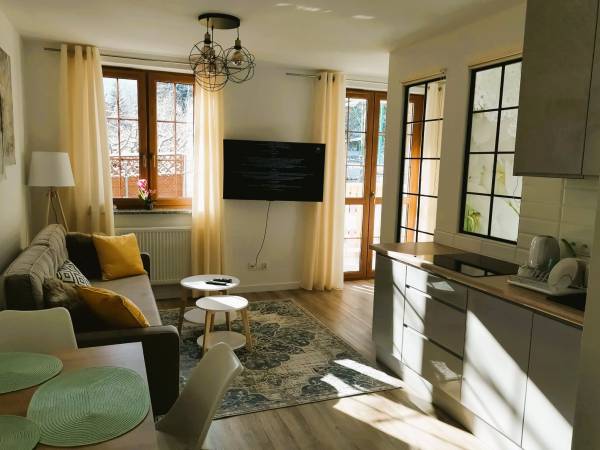 salonik z aneksem kuchennym