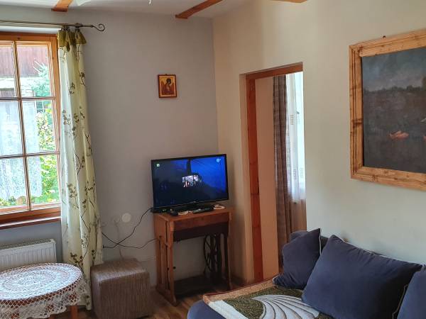 apartament p[od Modrzewiem - salon