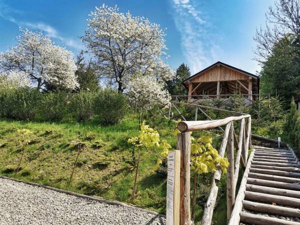 Dom Wędkarza - FLY FISHING IN POLAND