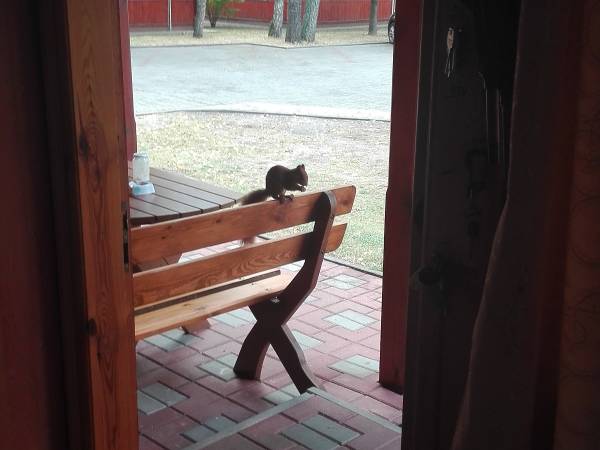 wierna od lat "wczasowiczka"