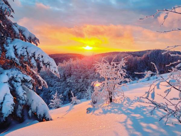 Noclegi pod Jawornikami