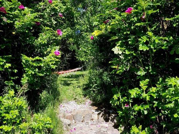 Leszczynowa Górka-Mazurskie Siedlisko w Silcu