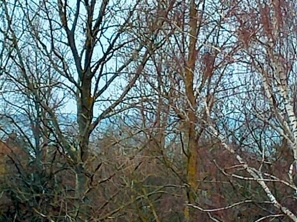 WODA I WIATR CAŁOROCZNE APARTAMENTY PRZY MORZU