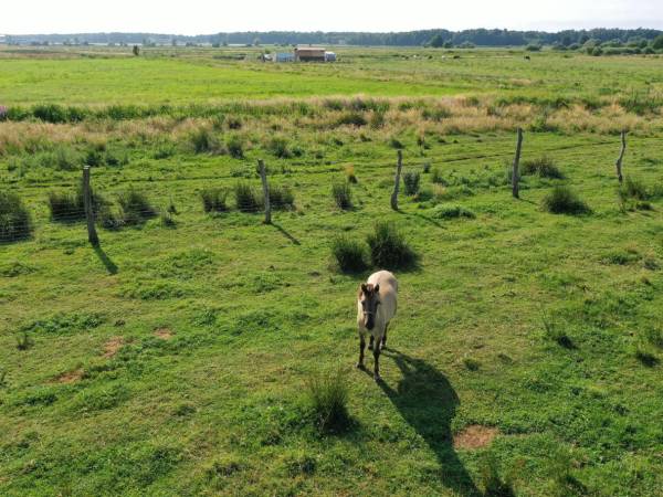 Gospodarstwo Agroturystyczne Jasińska Joanna