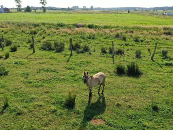 Gospodarstwo Agroturystyczne Jasińska Joanna