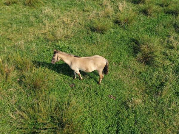 Gospodarstwo Agroturystyczne Jasińska Joanna