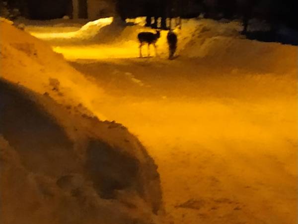 Czorsztyńskie Zacisze