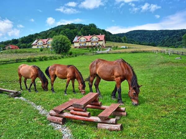 Agroturystyka Pod Łopiennikiem