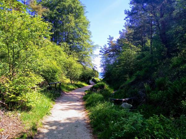 Zejście na plażę nr15