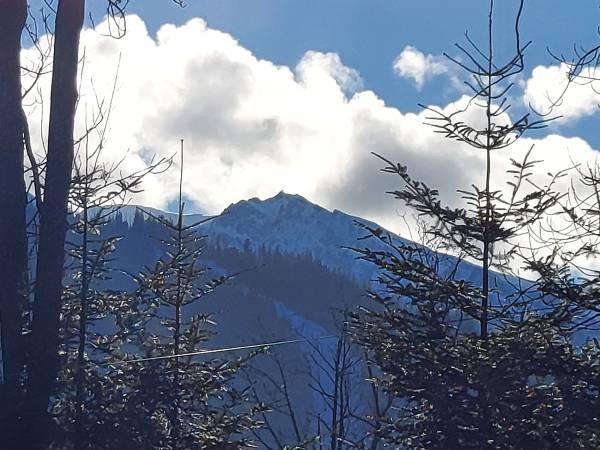 Domki Regionalne Rozetka