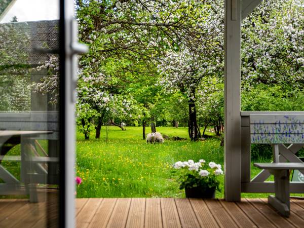 Widok na taras i sad z salonu.