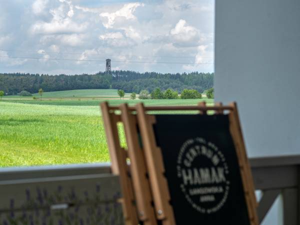 Widok z tarasu na wieżę widokową w Przytarni.