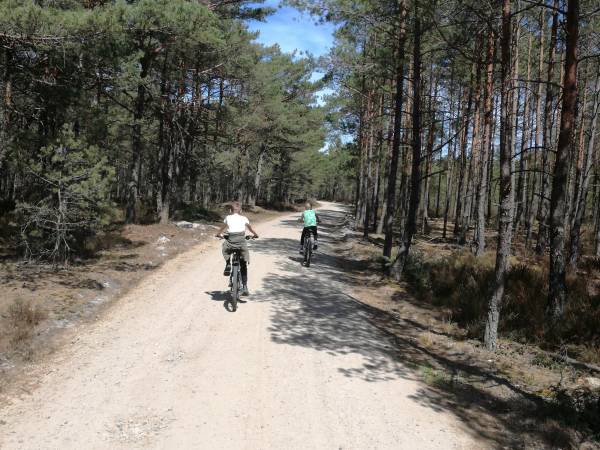 droga nad morze lasem morskim