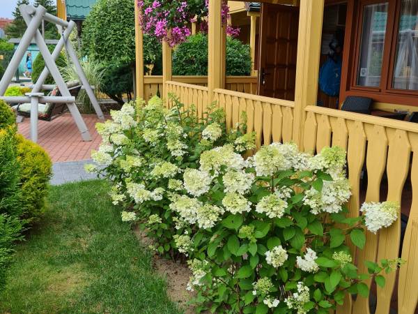 Ewa Domki Letniskowe