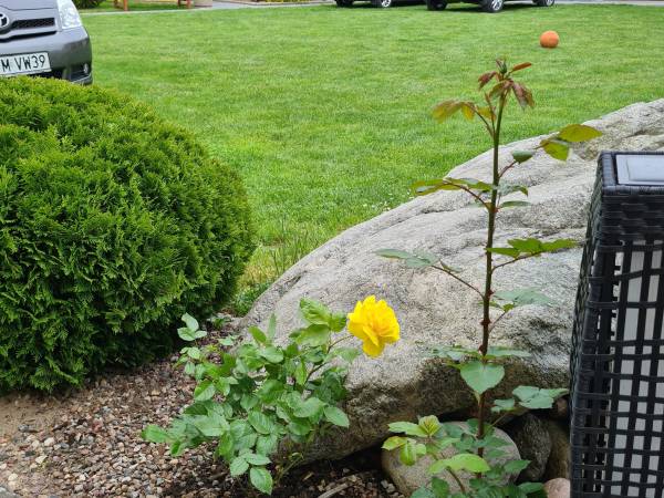 Ewa Domki Letniskowe