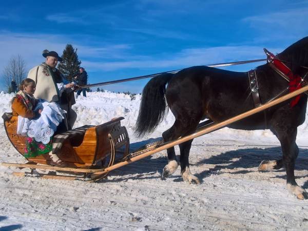 parada zaprzęgów konnych