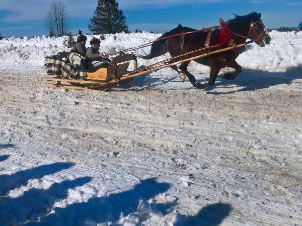 wyścigi zaprzęgów W.Rusiński