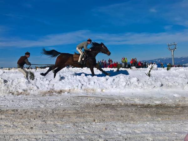 Wyścigi konne W.Rusiński